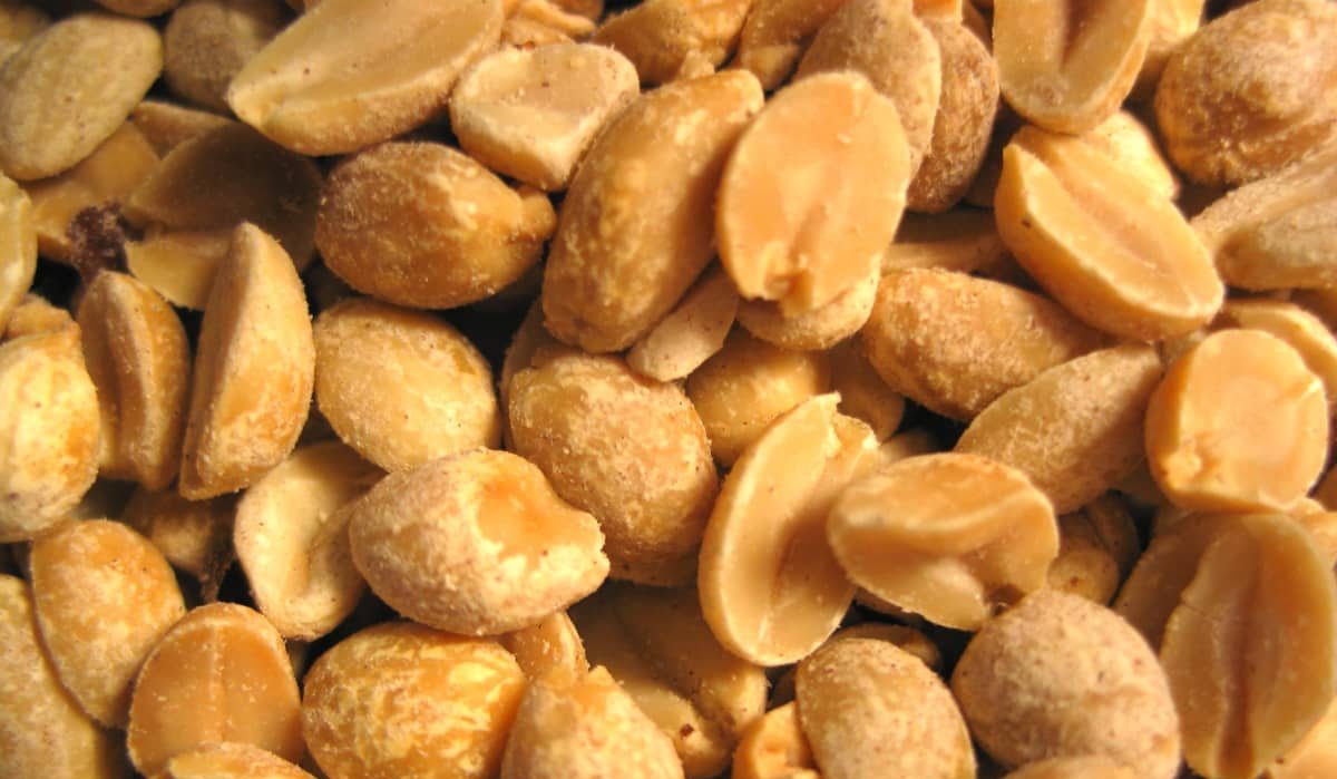  Getting to know roasted peanuts + the exceptional price of buying roasted peanuts 