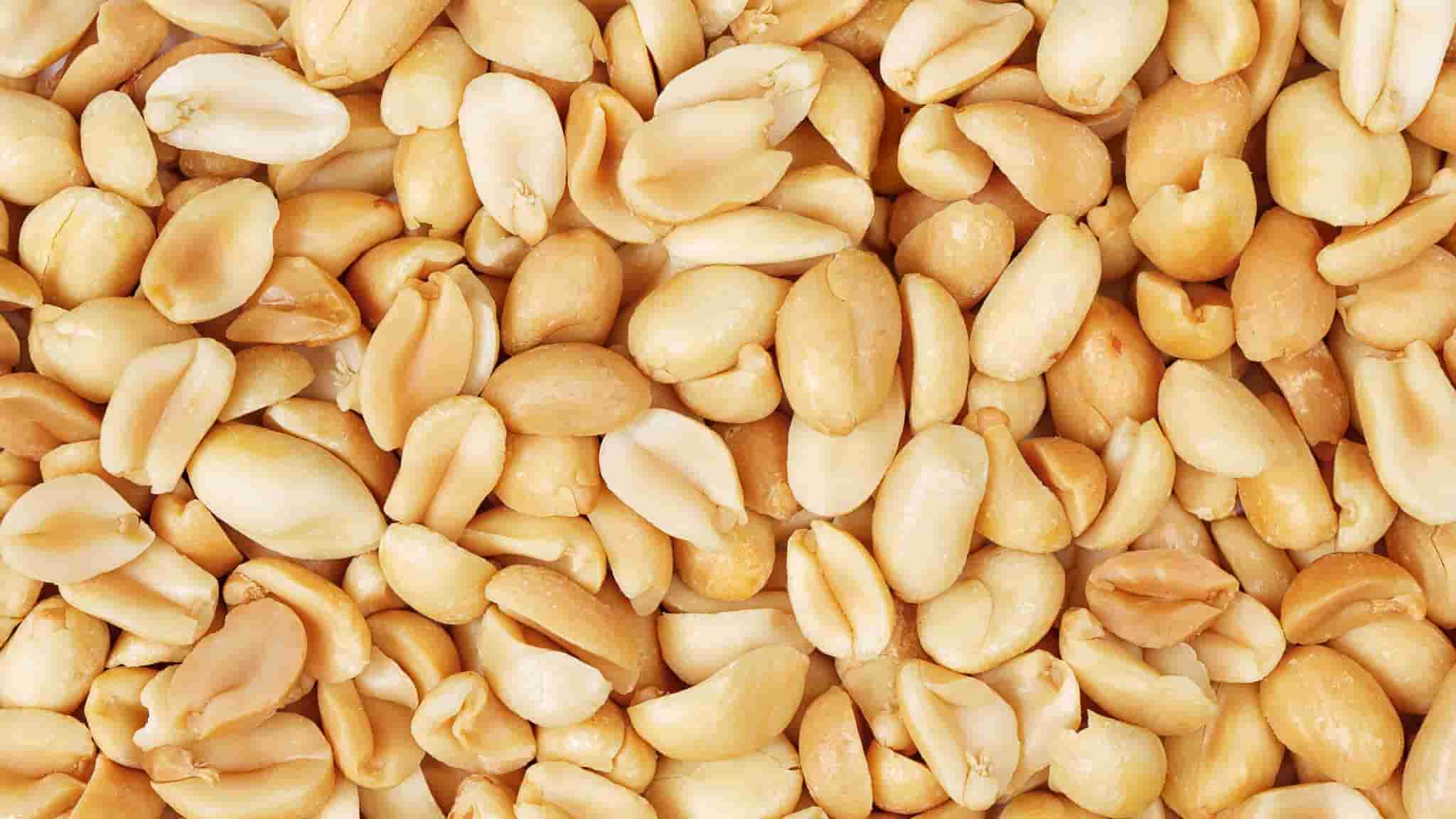  Introduction of groundnut 100g Types + Purchase Price of The Day 