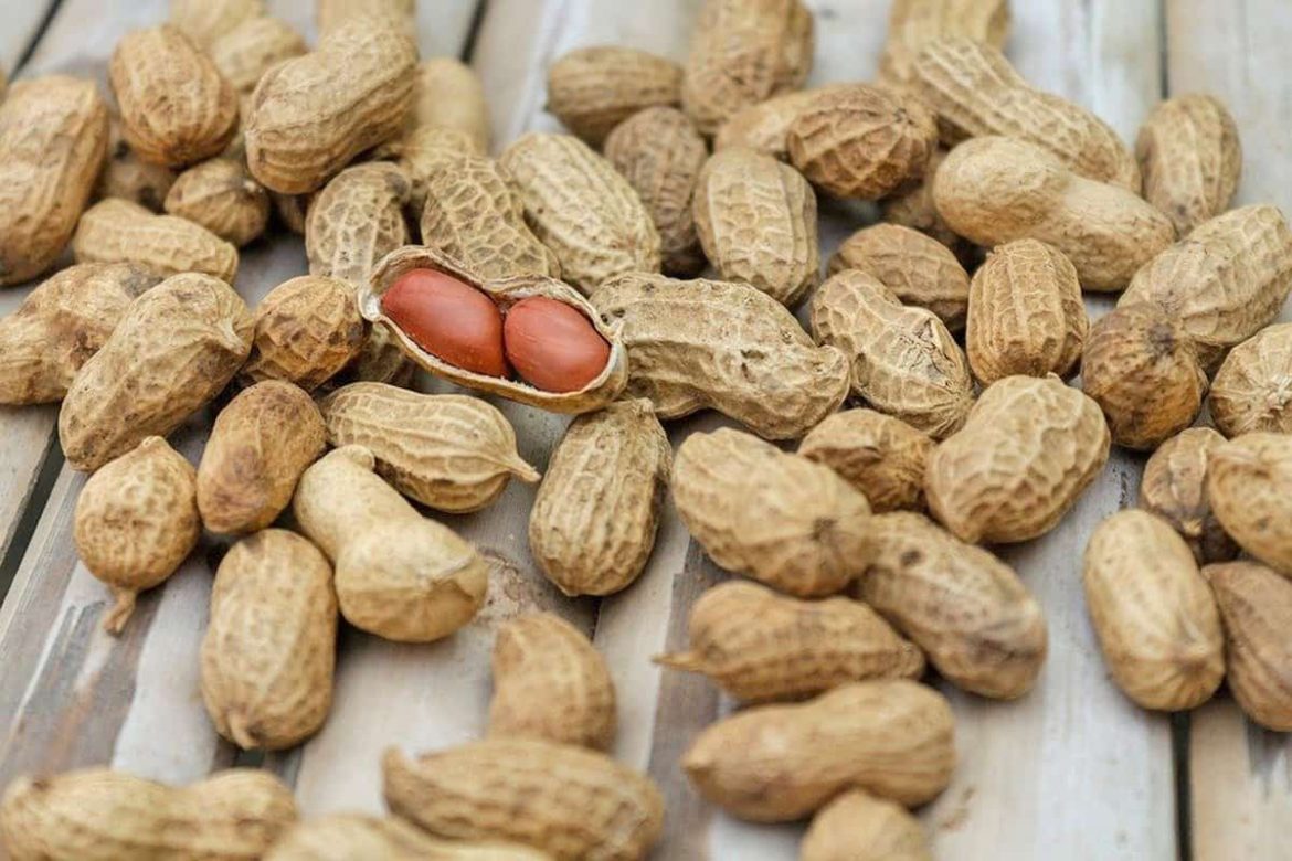 Peanut Allergy Symptoms Life Changing Treatment