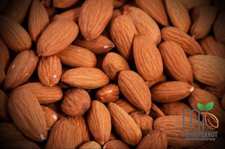 Bulk purchase of bitter almond with the best conditions
