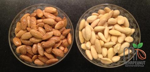 healthy raw peanut specifications and how to buy in bulk