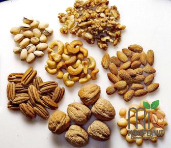 runner peanut with complete explanations and familiarization