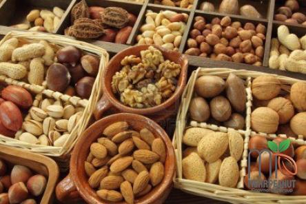 peanut in german buying guide with special conditions and exceptional price
