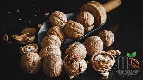 valencia peanuts australia with complete explanations and familiarization