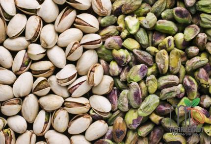 bronte pistachio specifications and how to buy in bulk